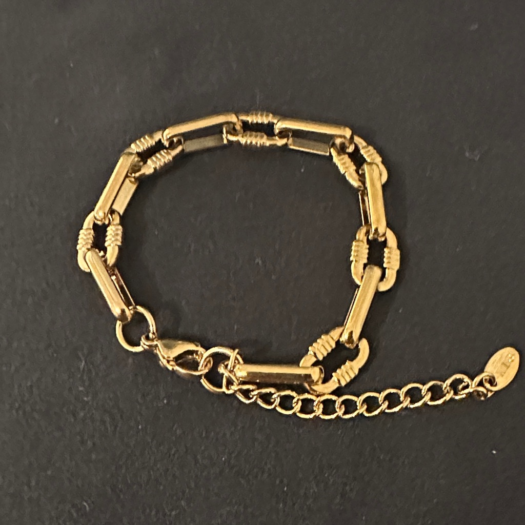 18k Gold Pvd Stainless Steel Chain Link Bracelet 18k Gold Pvd Stainless Steel Chain Link Bracelet